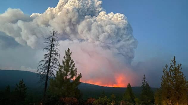 Wildfires Are Creating Their Own Thunderstorms