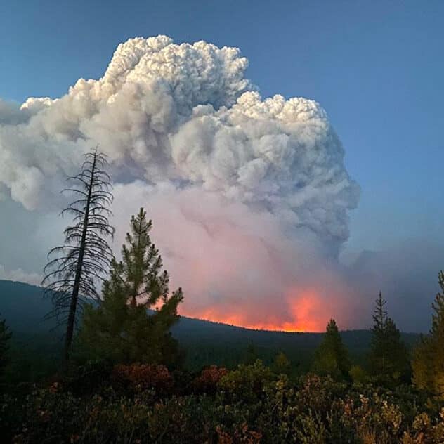 Wildfires Are Creating Their Own Thunderstorms