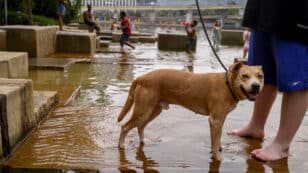 Heat Wave Hits Midwest and Northeast With Scorching Record Temperatures