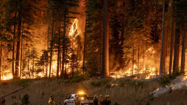 Park Fire Doubles in Size, Becomes Sixth-Largest in California History