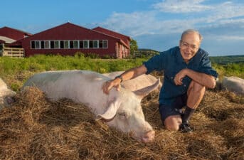 A Philosopher’s Guide to an Ethical Diet: A Conversation With Peter Singer