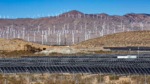 California Officials Praise Renewables, Battery Storage for Grid Resilience Amid Heat Wave