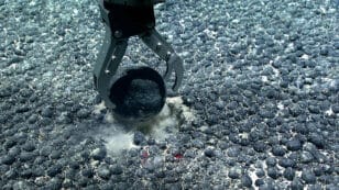 Scientists Discover ‘Dark Oxygen’ on Seafloor, Challenging Ideas on the Origin of Life