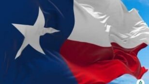 Texas Electricity Rates and Providers (August 2024)