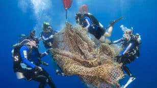 Meet the Winners of the 11th Annual UN World Oceans Day Photo Competition