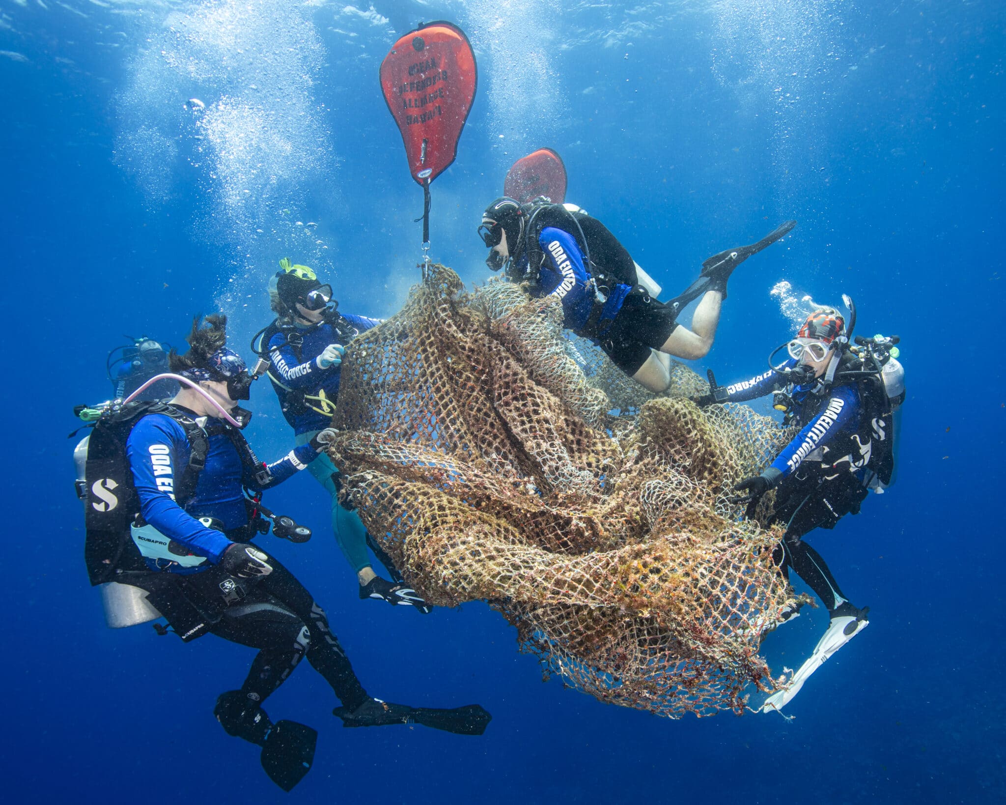 deep divers bringing up the net